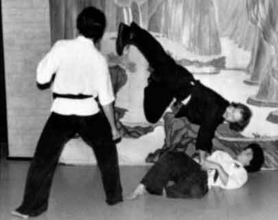 Wake Forest Kung Fu